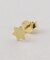 【Artisav/アルティサヴ】 silver GP star small earring：ピアス
