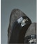 VANS / ヴァンズ PREMIUM オーセンティック ヘアリースエード
