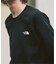 THE NORTH FACE / ザ ノースフェイス Quarterknit Crew