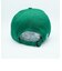 gifthat EmbroideryBaseBall CAP BIG  GRN