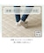 洗える抗菌防臭加工ラグ 麻混風PFL(130X185 NR02)