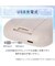 充電式冷却プレートクイックファン(ローズ MN05NR)