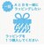 ミッフィー miffy DB/MF 木のオーナメント（ボリス） タグ カード     日本製