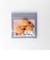 ミッフィー miffy ジッパーバッグ（star） GREEN FLASH