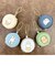 ミッフィー miffy コインケース (グリーン) 小物入れ ミニポーチ イヤホンケース