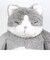 りぶはあと ねこ肯定感 抱きまくら M はちわれのかつお ぬいぐるみ インテリア リラックス