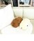 もふっとカピバラさん ブラウン ぬいぐるみ