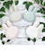 ミッフィー miffy くすみカラー ダイカットプレート S （マットグレージュ） 皿 キッチン