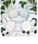 ミッフィー miffy くすみカラー ダイカットプレート S （マットグレージュ） 皿 キッチン