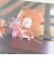こまねこ アートフォトポスター  撮影準備 絹目写真A4ポスター インテリア