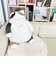 ねこ肯定感 みけねこのさんま BIGぬいぐるみ りぶはあと