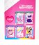 オシャレ魔女 ラブ and ベリー ランダム缶マグネット 全10種コンプリートBOX 文具 ラブベリー