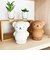 ミッフィー miffy ボリス マネーバンク (ブラウン) 貯金箱