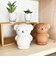 ミッフィー miffy ボリス マネーバンク (ブラウン) 貯金箱
