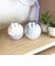 ミッフィー miffy クリップケース (アイボリー) 文具 フェイスシリーズ