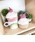 ミッフィー miffy ダイスカットポーチ いちごケーキ ドルチェシリーズ