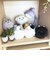 ぬいコロン にゃんコロン 黒猫 猫