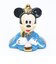 ディズニー ミッキー＆ミニー 磁器ひな人形 節句人形 雛人形 吉徳 Disney