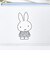 ミッフィー miffy フラグメントケース ( オフホワイト) カードケース フラワードレス柄 小物シリーズ