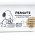 スヌーピー スクエアストッカー(S) お食事 キッチン 日本製 SNOOPY