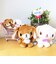 サンリオ シュガーバニーズ くろうさ カラビナマスコット Sanrio