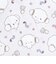 サンリオ こぎみゅん 10th 巾着(M) ちらし 日本製 Sanrio