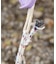 【チャイハネ】ハクリィタープクロス（２７０ｃｍ）