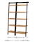 LADDER ラック 46