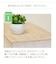 SHABBY WOOD 4Dローチェスト