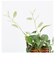 【当商品送料無料】光触媒 観葉植物 通販 フェイクグリーン おしゃれ 壁掛け フェイク 造花 吊り下げ ハンギング フック 壁 消臭 抗菌 防カビ