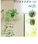 【当商品送料無料】光触媒 観葉植物 通販 フェイクグリーン おしゃれ 壁掛け フェイク 造花 吊り下げ ハンギング フック 壁 消臭 抗菌 防カビ