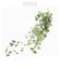 【当商品送料無料】光触媒 観葉植物 通販 フェイクグリーン おしゃれ 壁掛け フェイク 造花 吊り下げ ハンギング フック 壁 消臭 抗菌 防カビ