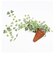 【当商品送料無料】光触媒 観葉植物 通販 フェイクグリーン おしゃれ 壁掛け フェイク 造花 吊り下げ ハンギング フック 壁 消臭 抗菌 防カビ