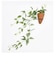 【当商品送料無料】光触媒 観葉植物 通販 フェイクグリーン おしゃれ 壁掛け フェイク 造花 吊り下げ ハンギング フック 壁 消臭 抗菌 防カビ