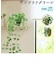 【当商品送料無料】光触媒 観葉植物 通販 フェイクグリーン おしゃれ 壁掛け フェイク 造花 吊り下げ ハンギング フック 壁 消臭 抗菌 防カビ