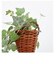 【当商品送料無料】光触媒 観葉植物 通販 フェイクグリーン おしゃれ 壁掛け フェイク 造花 吊り下げ ハンギング フック 壁 消臭 抗菌 防カビ