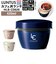 【当商品送料無料】アスベル 保温弁当箱 通販 弁当箱 2段 ランタス カフェ丼 620ml 保温 カフェ 保冷 女子 大人 男子 レンジ対応