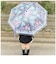【当商品送料無料】ビニール傘 子供 通販 傘 子供用 45cm スケーター ubv45 SKATER 雨傘 長傘 かさ カサ 男の子 女の子 キッズ