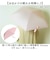 【当商品送料無料】Amane Air+ アマネ エアー 折りたたみ傘 50cm 通販 折り畳み傘 おりたたみ傘 雨傘 傘 かさ カサ 折り畳み