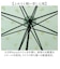 【当商品送料無料】because ビコーズ 晴雨兼用 長傘 刺繍 通販 雨傘 日傘 晴雨兼用傘 傘 かさ カサ 婦人傘 紫外線遮蔽 UV対策