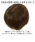 【当商品送料無料】プリシラ 白髪隠しウィッグ prisila ST-009 通販 ヘアピース プレミアム白髪かくしウィッグ ナチュラルショート