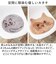 【当商品送料無料】猫 チェアパッド 好評 椅子 クッション にゃふにゃふ ねこ ネコ チェアマット チェアパット シートクッション チェアクッション