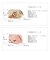 【当商品送料無料】化粧ポーチ FLAPPER フラッパー 通販 かわいい 可愛い レディース 女の子 小物入れ 小物整理 キャラクター ペンケース