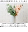 【当商品送料無料】ホワイエ PVシリンダー 通販 花瓶 割れない フラワーベース 大きい 花器 花びん 円柱 ポリカーボネート おしゃれ シンプル