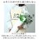 【当商品送料無料】ホワイエ PVシリンダー 通販 花瓶 割れない フラワーベース 大きい 花器 花びん 円柱 ポリカーボネート おしゃれ シンプル