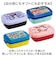 【当該商品送料無料】SKATER スケーター ランチボックス 840ml P84 通販 弁当箱 お弁当箱 弁当 ランチ容器 子供用 キャラクター