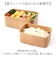 【当該商品送料無料】保存容器 プラスチック ケース 通販 日本製 食品保存容器 210ml 435ml 2個セット お弁当箱 ランチボックス 弁当箱