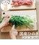 【当該商品送料無料】立つまな板 ひのき 通販 日本製 まないた カッティングボード スタンド 木製 おしゃれ 抗菌 薄型 軽量 軽い 四万十ひのき