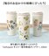 【当該商品送料無料】タンブラー 水筒 430ml 通販 mofusando モフサンド ステンレスボトル 持ち運び 保温 保冷 もふさんど キャリー