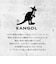 【当該商品送料無料】KANGOL カンゴール リュック 250-1570 通販 リュックサック 33L ボックス型 バックパック ボックスリュック